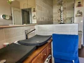 Vente GERS PROPRIETE DE CHARME AVEC PISCINE SUR 8 800 M²