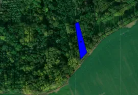 Terrain boisé de 977 m² – Breuil-le-Vert Breuil-le-Vert
