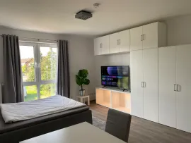 Hohe Geest, Münster Münster