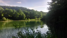 AUDE DOMAINE TOURISTIQUE 9 HA LACS Montjardin