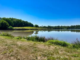Vente LANDES DOMAINE 57 ha ETANGS 20 ha