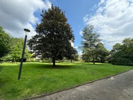 Colocation Avenue de l'Aulne, Uccle