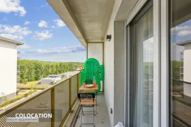 Colocation Chambre en colocation - Douche privative