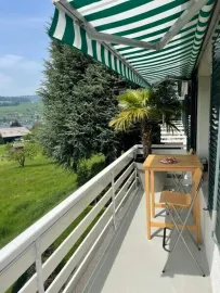 Location Seeheimweg, Küssnacht