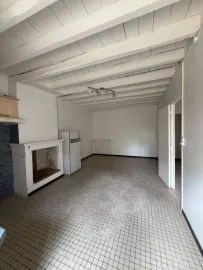Vente Maison pierre avec chai et terrain Langon
