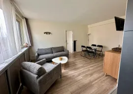 Location Beau 2P meublé et rénové 38m², lumineux, vue Seine