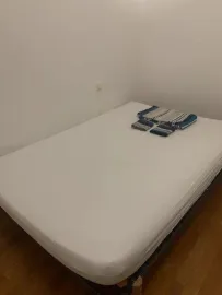 Colocation Chambre dispo dans coloc à Nancy
