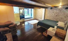 Location LOFT 116 m2 GRANDE TERASSE DE 20m2 REFAIT NEUF