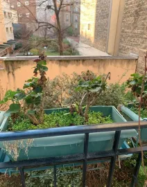 Location Beau 2 pièces meublé à Bécon très calme