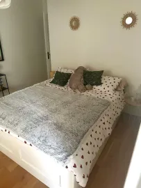 Location Bel appartement T2 50m2 NANTES - ÎLE DE NANTES