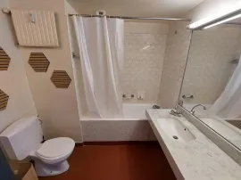 Location Studio 21m²  ile de Nantes vue sur Loire