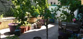 Location Chambre All inclusif, proche Métro B Debourg