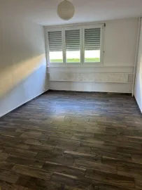 T3 65m² Metare-Cours Fauriel Saint-Étienne