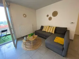 Beau 3P meublé 63m2 avec terrasse Seysses