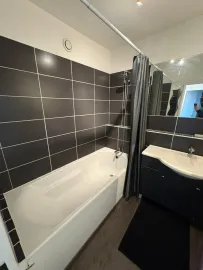 Location Beau T2 meublé 53m2 Lyon 9
