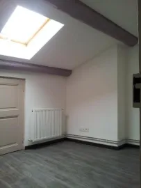 Location Saint-Etienne Bellevue-F3 tranquille et sympa