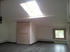 Location Saint-Etienne Bellevue-F3 tranquille et sympa