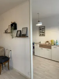 Location Beau studio 41m² lumineux balcon exposé Sud