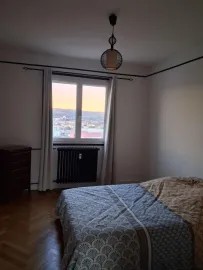 Location Appartement cosy