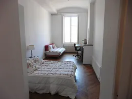 Chambre privée dans appartement de 140m2 Lyon 2e