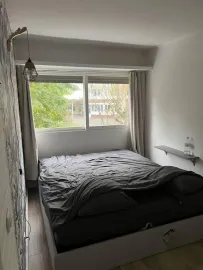 Colocation Chambre en colocation