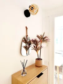 Beau T2 meublé 32m² Reims