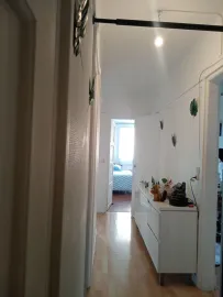 Colocation Chambre chez l'habitant en février