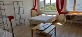 Grande chambre meublée proche faculté Esplanade Strasbourg
