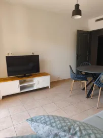 Location Joli Appartement T2 meublé clim et rénové.