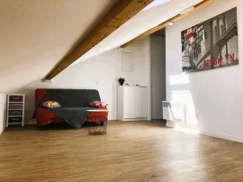 Studio meublé de 29 m2 face au Parc de la Tête d'O Lyon 4e