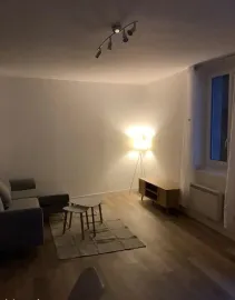 Beau 3P meublé 59m² refait a neuf Saint-Étienne