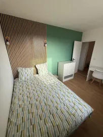 Colocation Appartement lyon 5