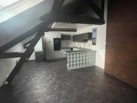 Location Superbe Appartement T3 equipé Lumineux Grenoble Ce