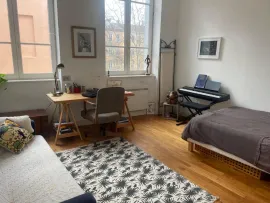 COLOCATION GRAND APPARTEMENT LUMINEUX CROIX-ROUSSE Lyon 4e