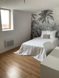 Colocation Colocation Roubaix- 3 chambres restantes