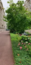 Location Beau 2 pièces meublé, lumineux et refait à neuf