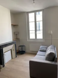 Location Appartement T2 lumineux, meublé - ORLEANS CENTRE