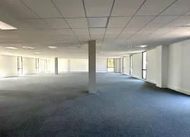 À louer – Bureaux de 302 m² au sein de l'Agroparc d'Avignon – Vaucluse (84) Avignon