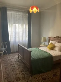 Colocation Colocation Grand T5 meublé Lyon 6ème