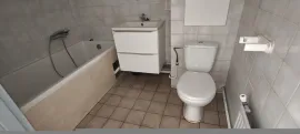 Location Grand T3 de 89 M2 lumineux à Nancy