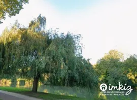 Vente La Varenne-St-Hilaire- 74m2 traversant séjour 30m2