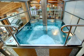 Location de vacances Chalet Basis