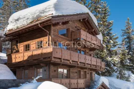 Location de vacances Chalet Elixir
