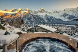 Location de vacances Chalet Shaman