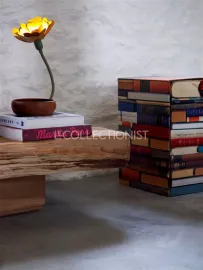 Location de vacances Maison des Arts