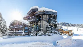 Chalet Almandin Courchevel