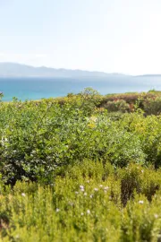 Location de vacances Villa Kaly
