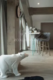 Location de vacances Penthouse Ourse Polaire