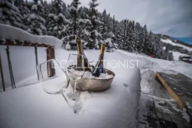 Location de vacances Diamant De Bellecote