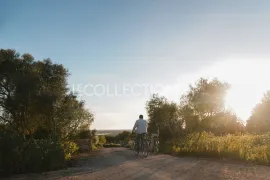 Location de vacances Villa Jupiter